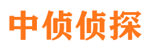 麻章市侦探调查公司